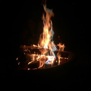 Meet your Posher, Ava